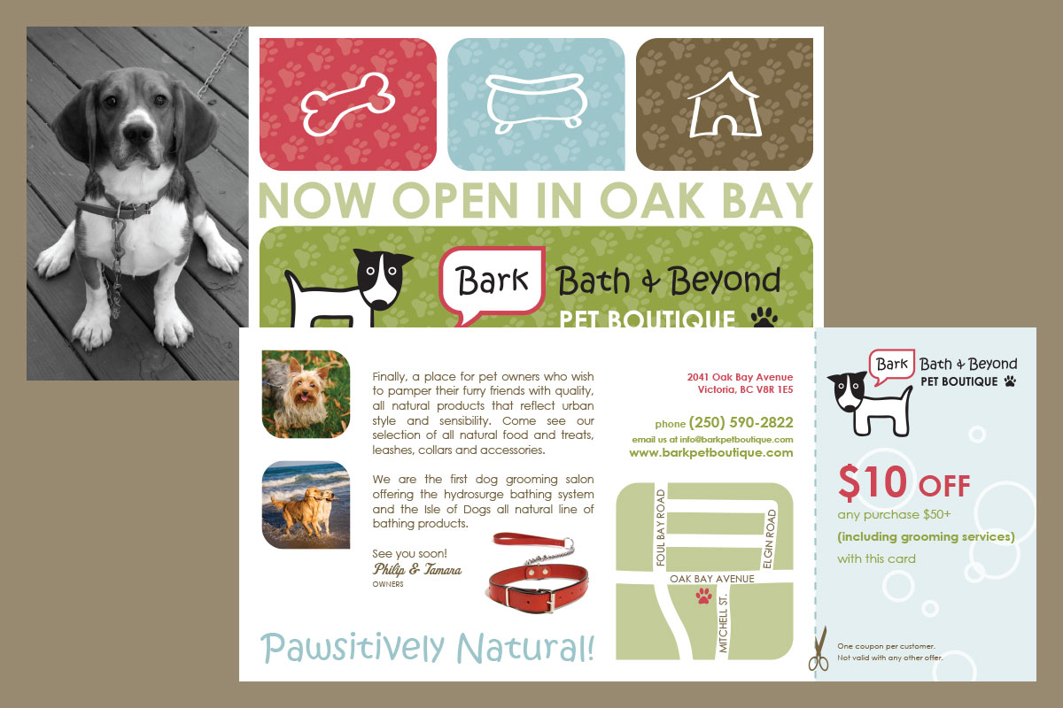 Bark Bath & Beyond Pet Shop Brochure Design