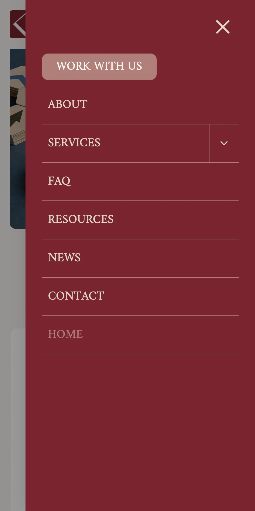 Knapp Resolutions Mobile Website: Navigation